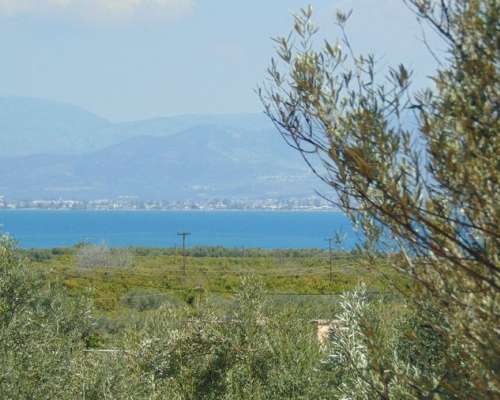 εικόνα ακινήτου