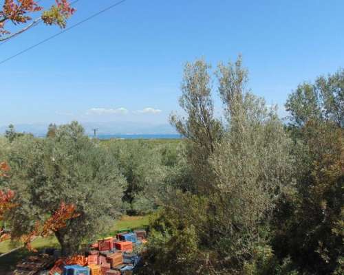 φωτογραφία ακινήτου