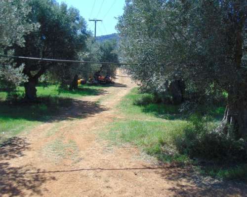 φωτογραφία ακινήτου