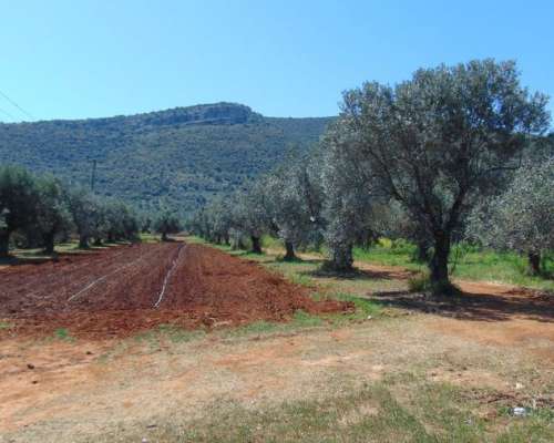 φωτογραφία ακινήτου