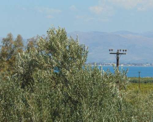 φωτογραφία ακινήτου