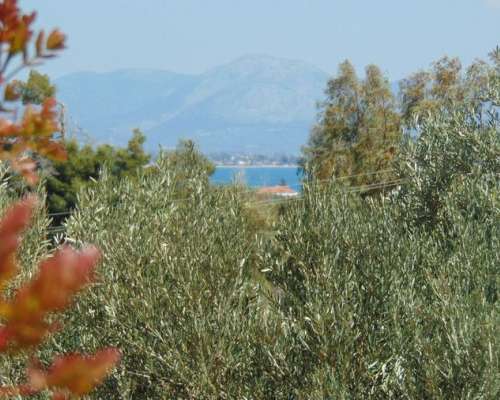 φωτογραφία ακινήτου