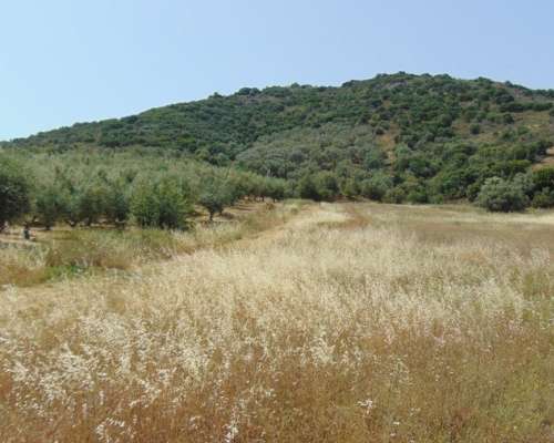 φωτογραφία ακινήτου