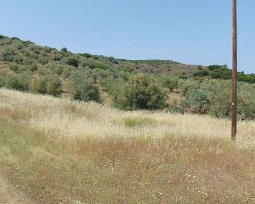 φωτογραφία ακινήτου