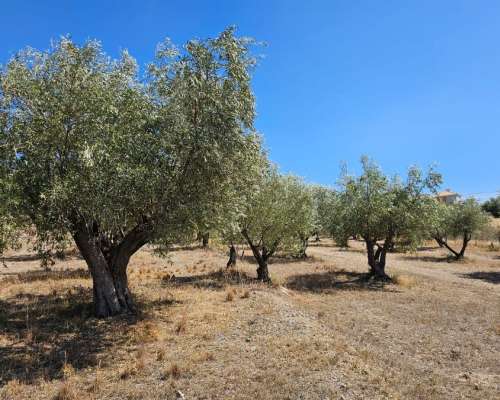 φωτογραφία ακινήτου