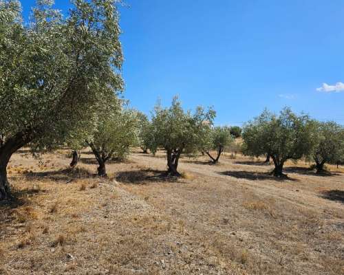 φωτογραφία ακινήτου