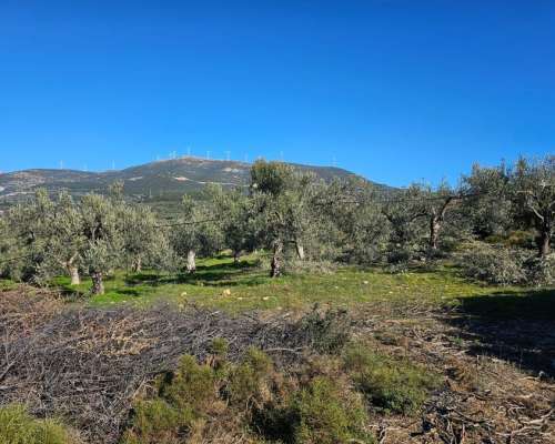 φωτογραφία ακινήτου