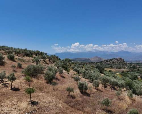 φωτογραφία ακινήτου