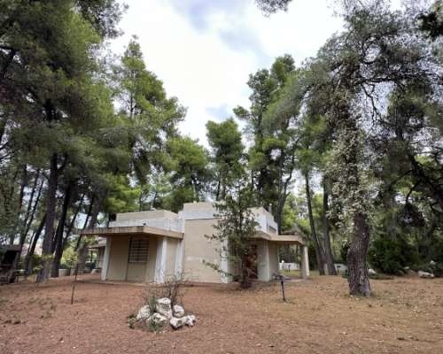 φωτογραφία ακινήτου