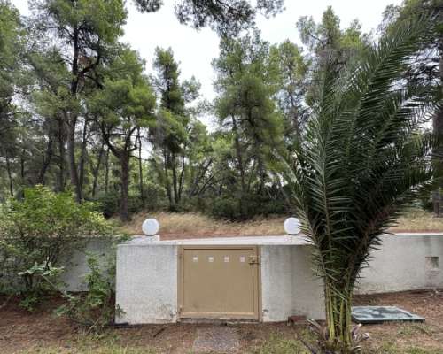φωτογραφία ακινήτου