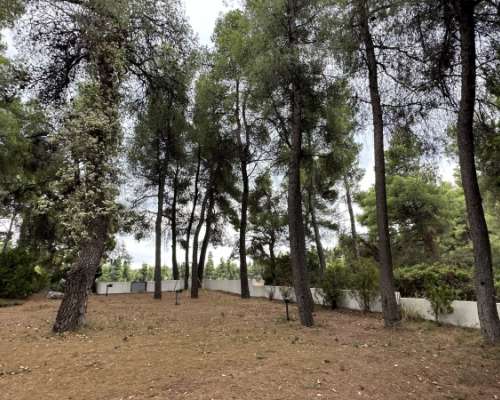φωτογραφία ακινήτου